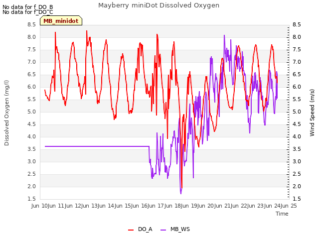 plot of Mayberry miniDot Dissolved Oxygen