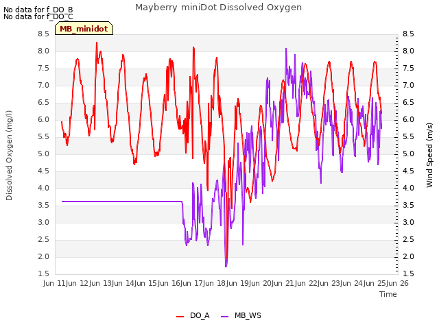 plot of Mayberry miniDot Dissolved Oxygen