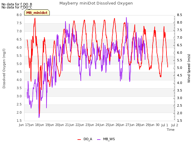 plot of Mayberry miniDot Dissolved Oxygen