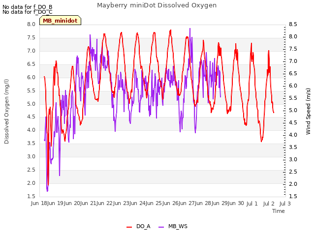 plot of Mayberry miniDot Dissolved Oxygen