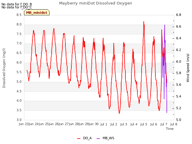 plot of Mayberry miniDot Dissolved Oxygen