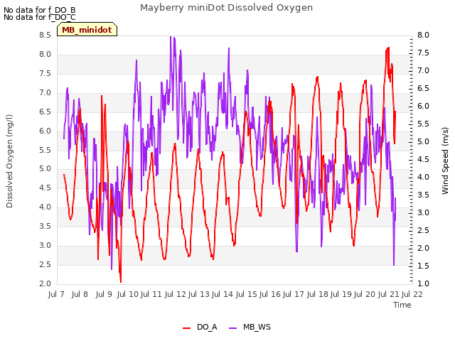 plot of Mayberry miniDot Dissolved Oxygen