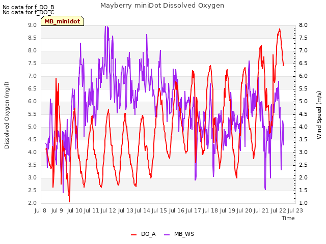 plot of Mayberry miniDot Dissolved Oxygen