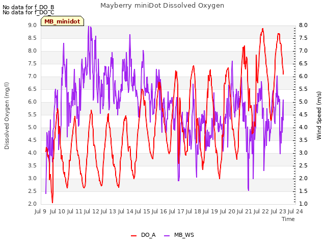 plot of Mayberry miniDot Dissolved Oxygen