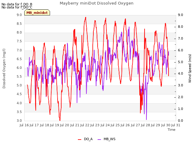 plot of Mayberry miniDot Dissolved Oxygen