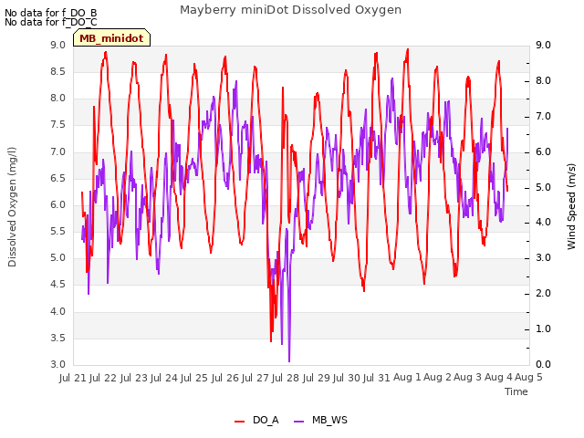 plot of Mayberry miniDot Dissolved Oxygen