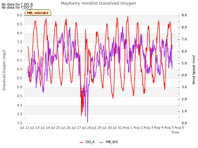 plot of Mayberry miniDot Dissolved Oxygen