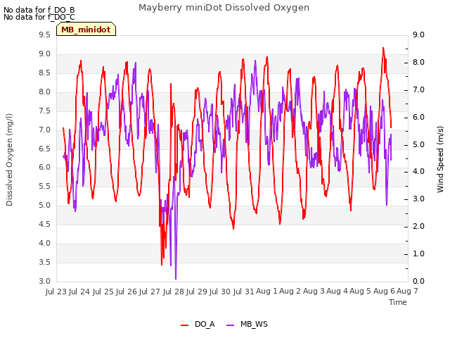 plot of Mayberry miniDot Dissolved Oxygen