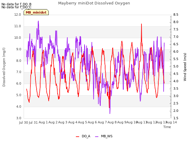 plot of Mayberry miniDot Dissolved Oxygen