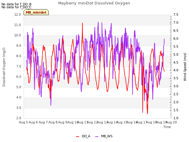 plot of Mayberry miniDot Dissolved Oxygen