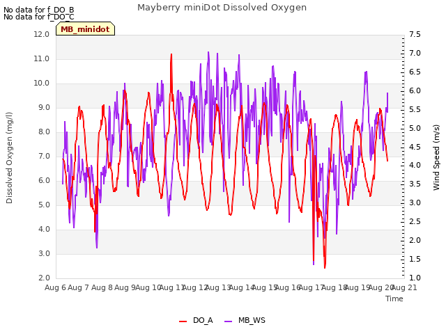 plot of Mayberry miniDot Dissolved Oxygen