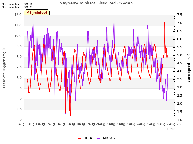 plot of Mayberry miniDot Dissolved Oxygen