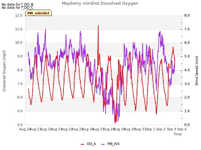 plot of Mayberry miniDot Dissolved Oxygen