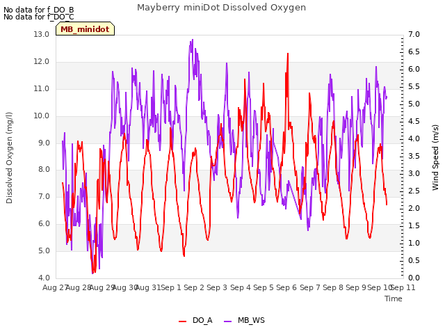 plot of Mayberry miniDot Dissolved Oxygen