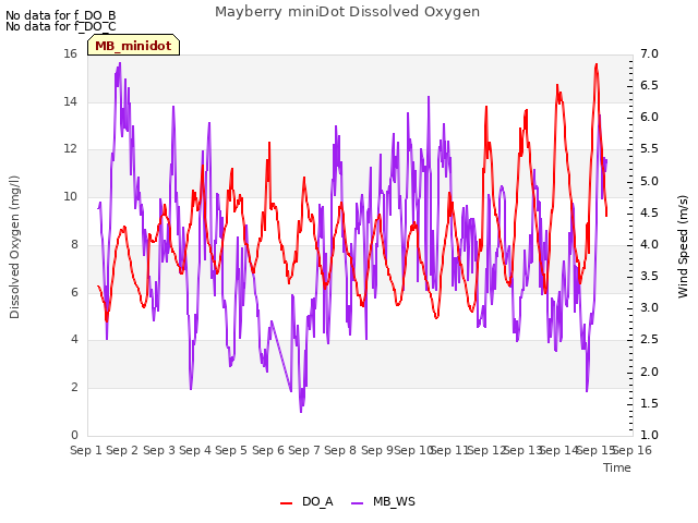 plot of Mayberry miniDot Dissolved Oxygen