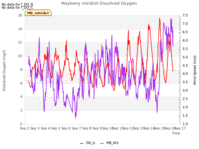 plot of Mayberry miniDot Dissolved Oxygen