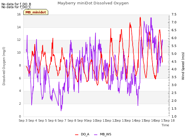 plot of Mayberry miniDot Dissolved Oxygen