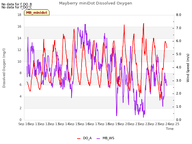 plot of Mayberry miniDot Dissolved Oxygen