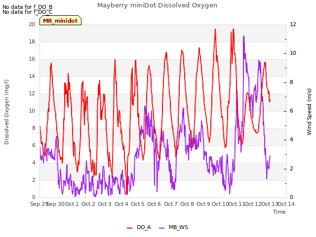 plot of Mayberry miniDot Dissolved Oxygen