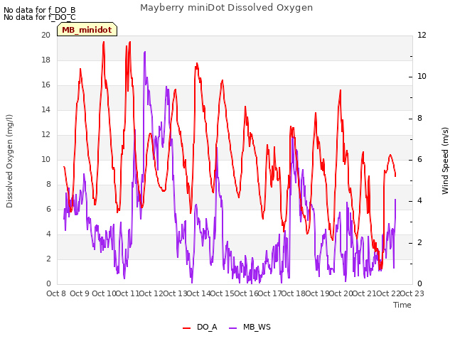 plot of Mayberry miniDot Dissolved Oxygen