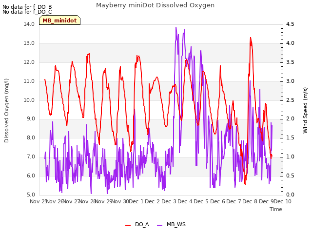 plot of Mayberry miniDot Dissolved Oxygen