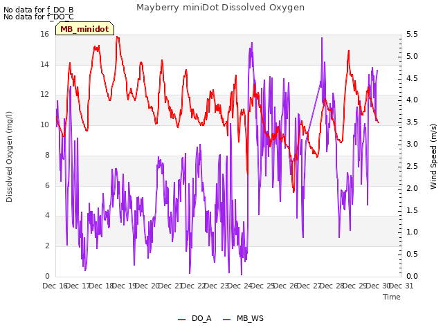 plot of Mayberry miniDot Dissolved Oxygen