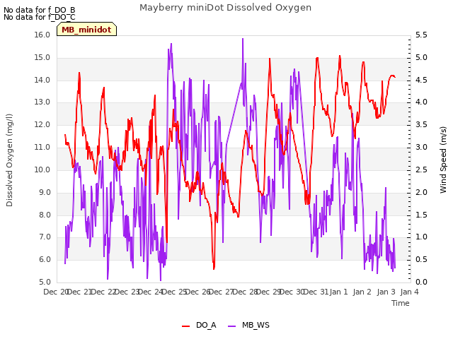 plot of Mayberry miniDot Dissolved Oxygen