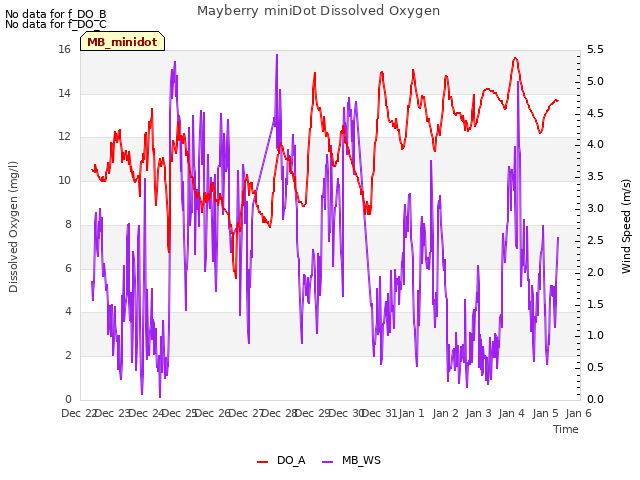 plot of Mayberry miniDot Dissolved Oxygen