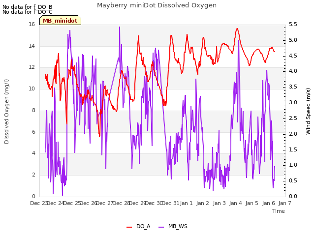 plot of Mayberry miniDot Dissolved Oxygen