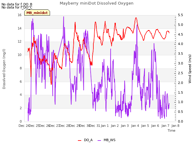 plot of Mayberry miniDot Dissolved Oxygen