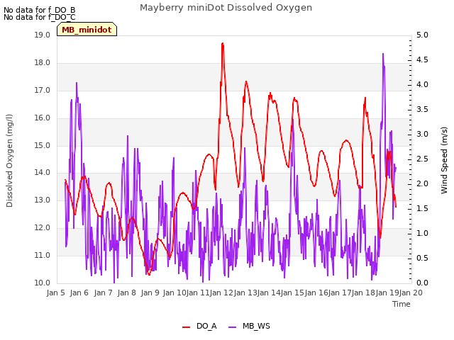 plot of Mayberry miniDot Dissolved Oxygen