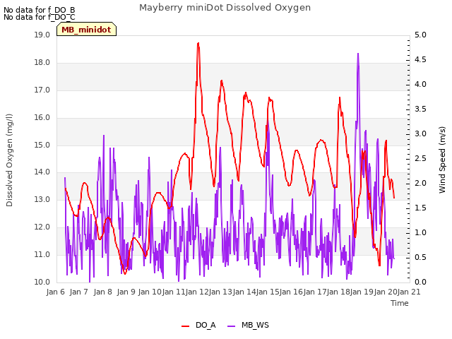 plot of Mayberry miniDot Dissolved Oxygen