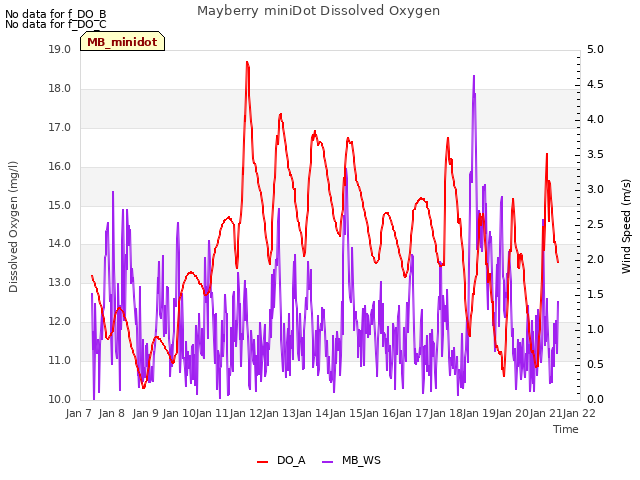 plot of Mayberry miniDot Dissolved Oxygen