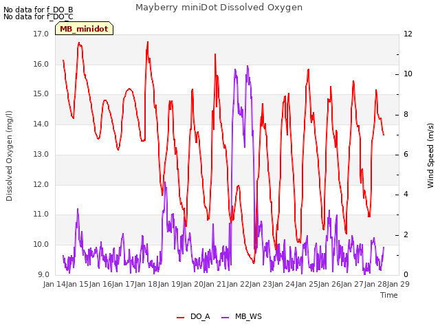 plot of Mayberry miniDot Dissolved Oxygen