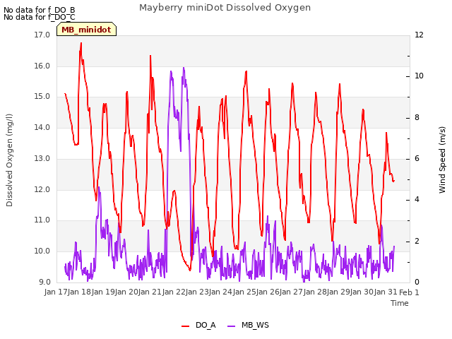 plot of Mayberry miniDot Dissolved Oxygen