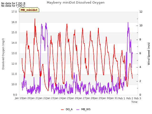 plot of Mayberry miniDot Dissolved Oxygen