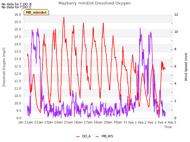 plot of Mayberry miniDot Dissolved Oxygen