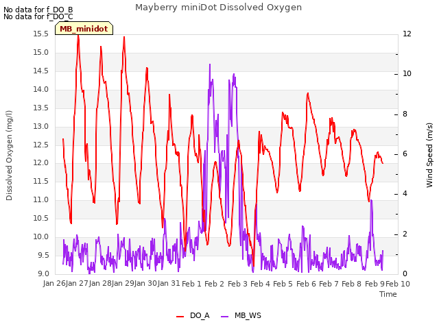 plot of Mayberry miniDot Dissolved Oxygen