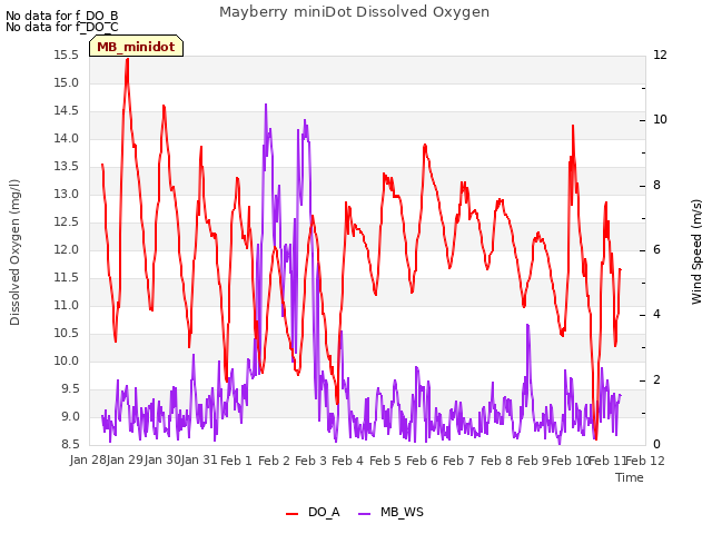 plot of Mayberry miniDot Dissolved Oxygen