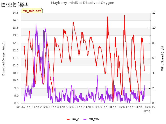 plot of Mayberry miniDot Dissolved Oxygen