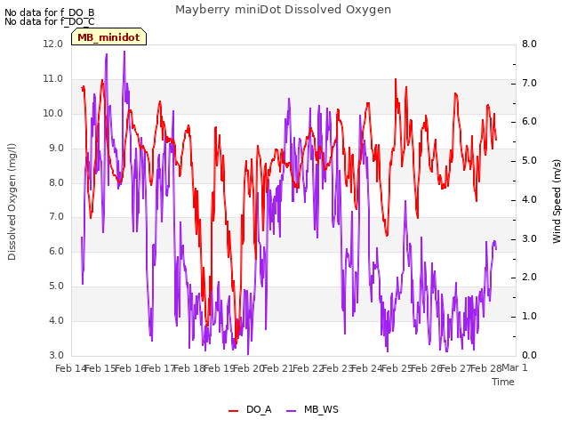 plot of Mayberry miniDot Dissolved Oxygen