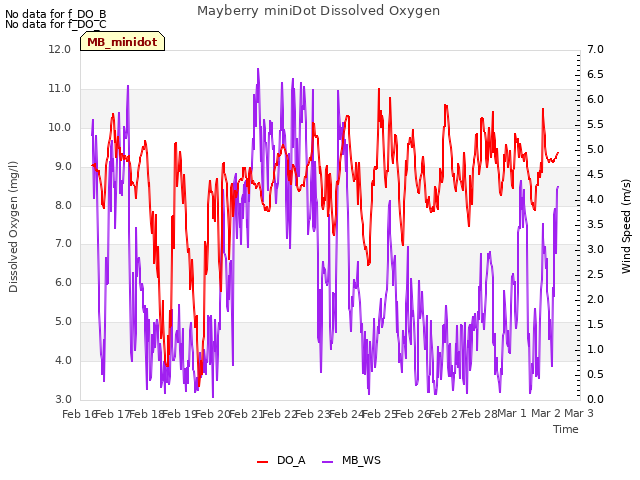 plot of Mayberry miniDot Dissolved Oxygen