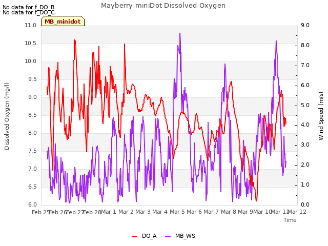 plot of Mayberry miniDot Dissolved Oxygen