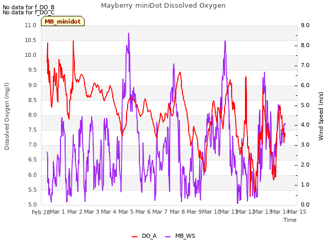 plot of Mayberry miniDot Dissolved Oxygen