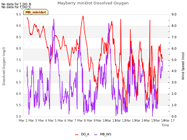 plot of Mayberry miniDot Dissolved Oxygen