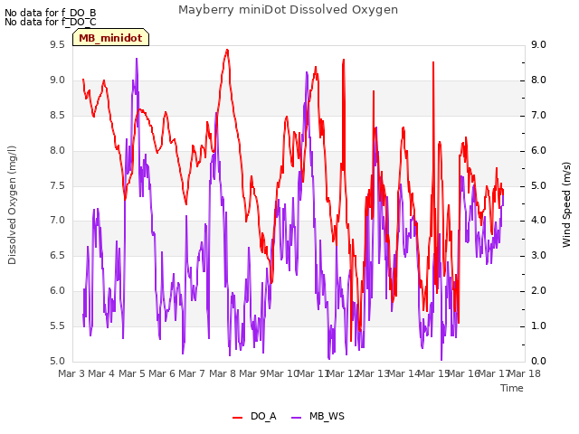 plot of Mayberry miniDot Dissolved Oxygen