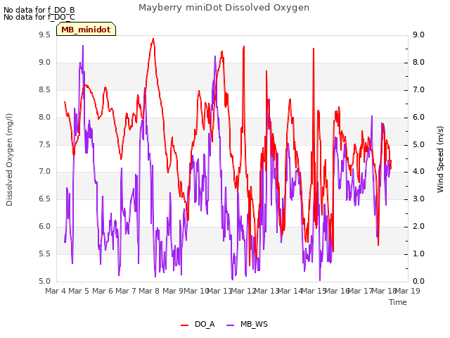 plot of Mayberry miniDot Dissolved Oxygen