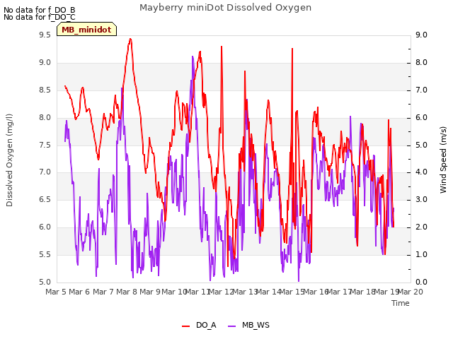 plot of Mayberry miniDot Dissolved Oxygen