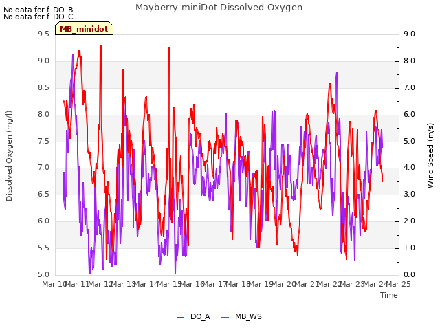 plot of Mayberry miniDot Dissolved Oxygen