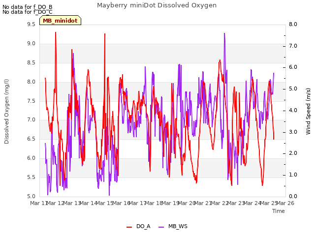 plot of Mayberry miniDot Dissolved Oxygen